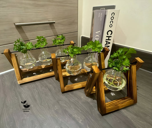 Hydroponic Plant Pot - Plant Propagation Station Hydroponic Gardening Indoor Plant Cuttings Desktop Terrarium Vase