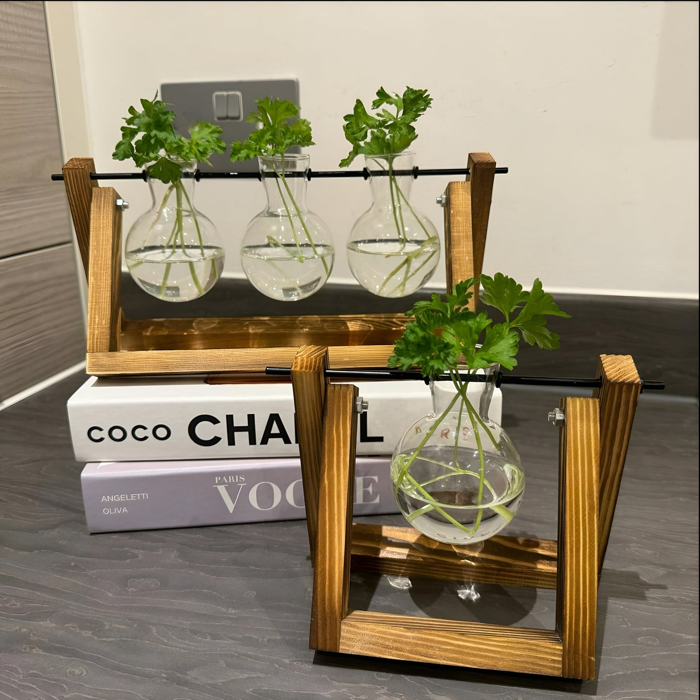 Hydroponic Plant Pot - Plant Propagation Station Hydroponic Gardening Indoor Plant Cuttings Desktop Terrarium Vase