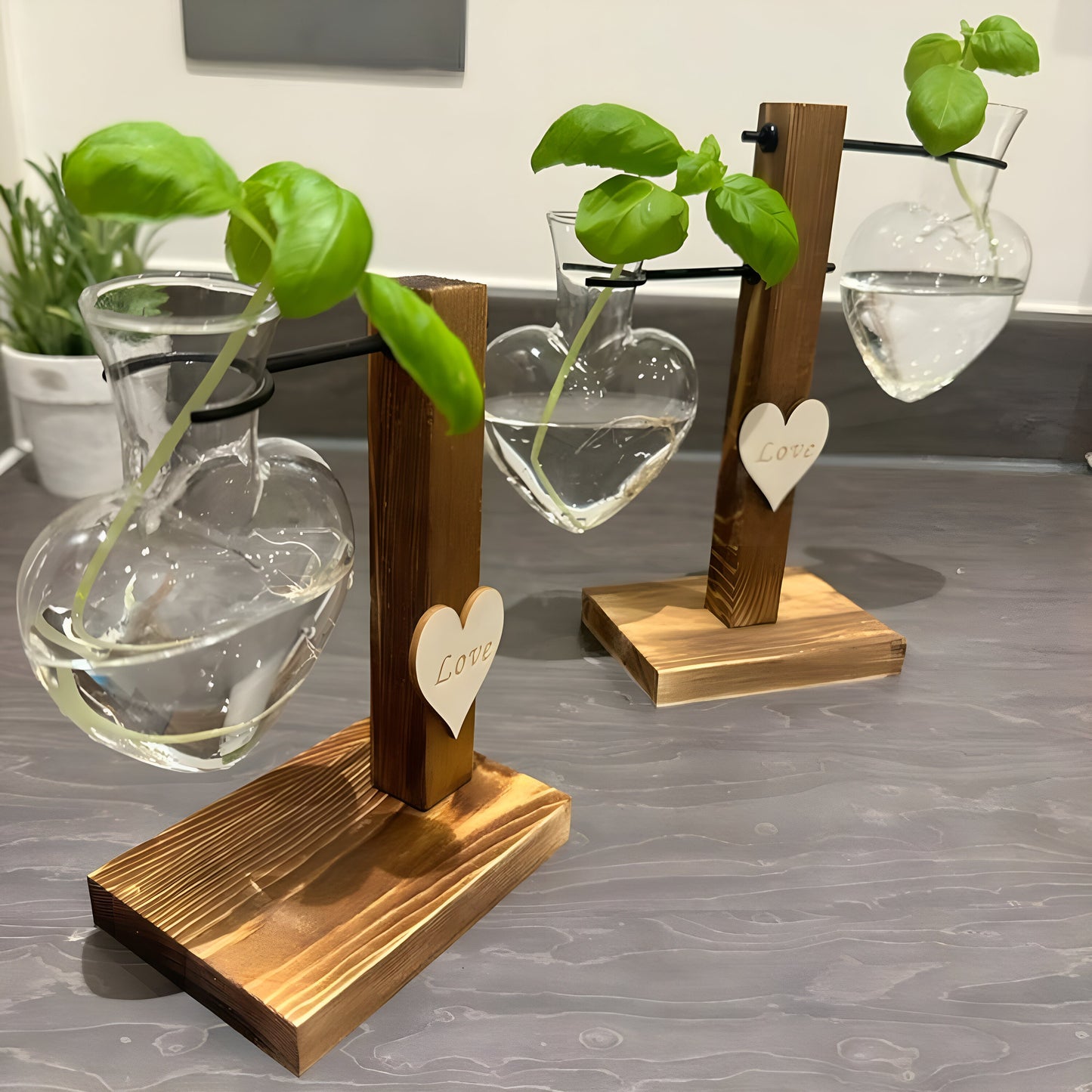 Hydroponic Plant Vase - Heart Shaped Valentines Vases Plant Cuttings Vase Wooden Stand Propagation Station Glass Desk Hydroponic System