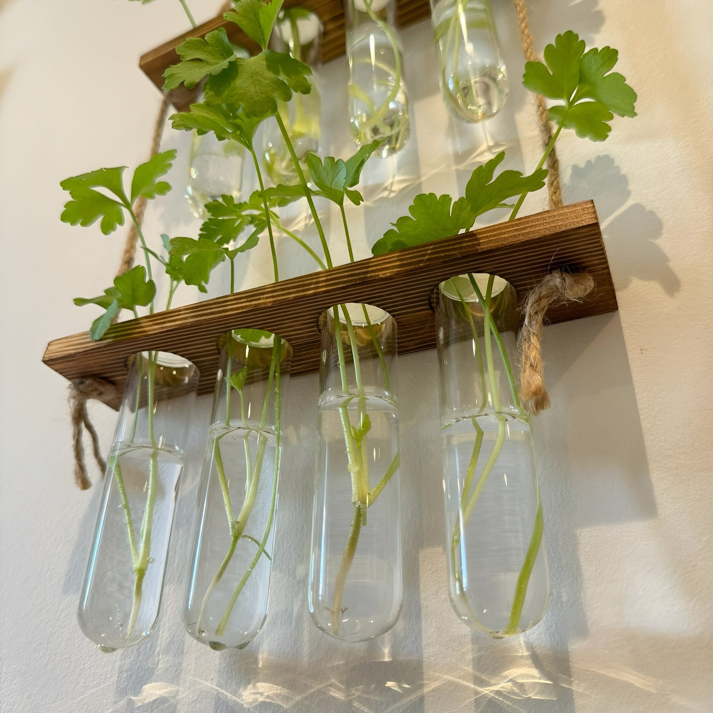 Testtube Vases Hanging Hydroponic System, Test Tube Propagate Plant Clipping Pothos Wall Propagation System