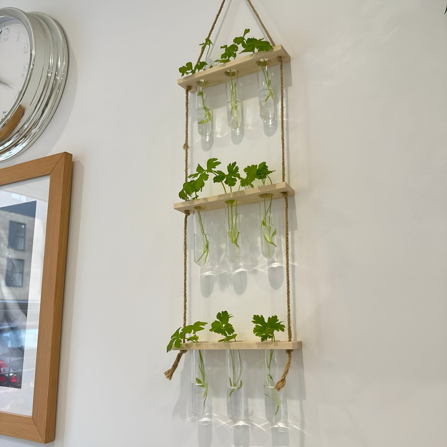 Testtube Vases Hanging Hydroponic System,  Three-Tier Test Tube Propagate Plant Clipping Pothos Wall Propagation System