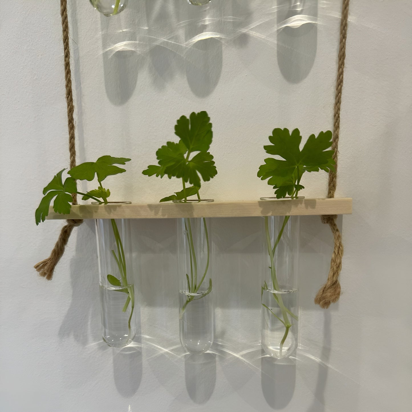 Testtube Vases Hanging Hydroponic System,  Three-Tier Test Tube Propagate Plant Clipping Pothos Wall Propagation System