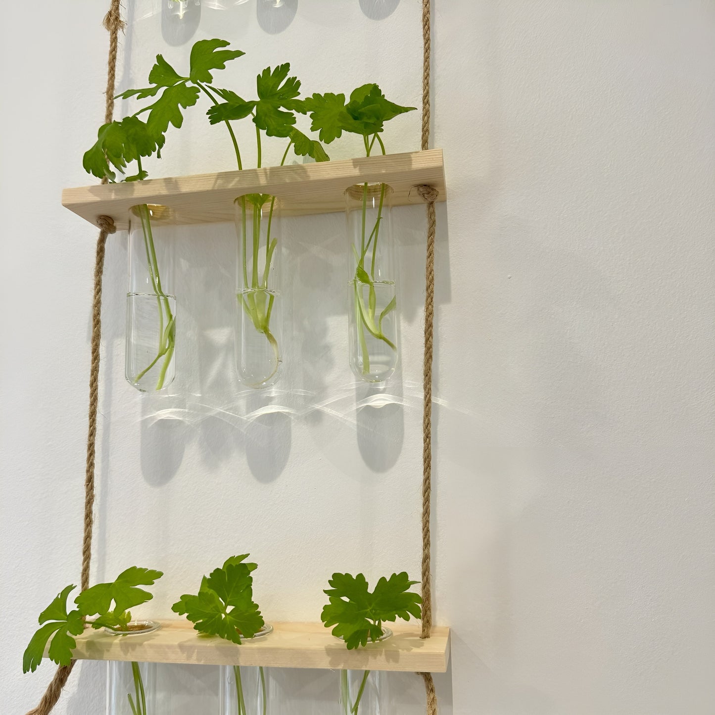 Testtube Vases Hanging Hydroponic System,  Three-Tier Test Tube Propagate Plant Clipping Pothos Wall Propagation System