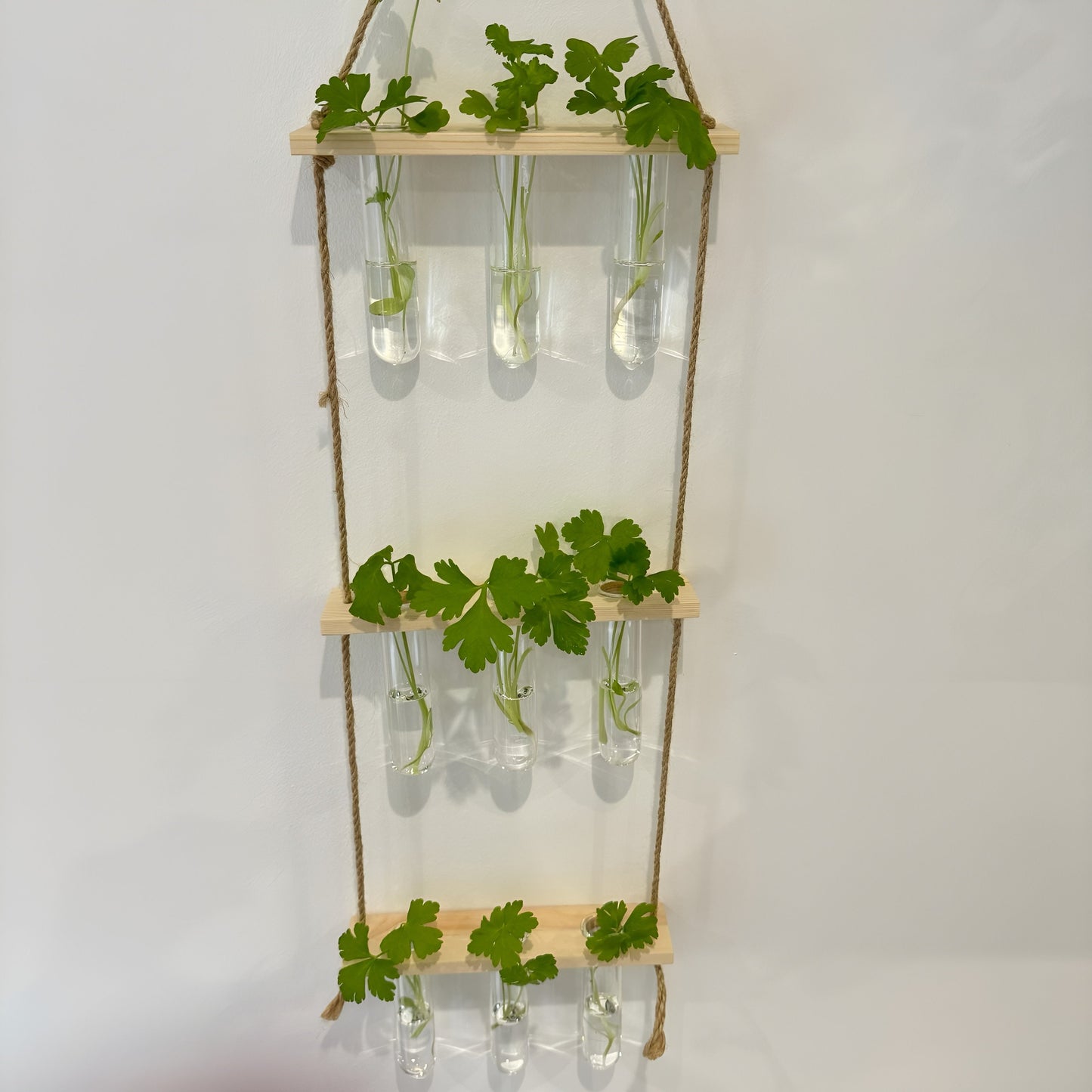 Testtube Vases Hanging Hydroponic System,  Three-Tier Test Tube Propagate Plant Clipping Pothos Wall Propagation System