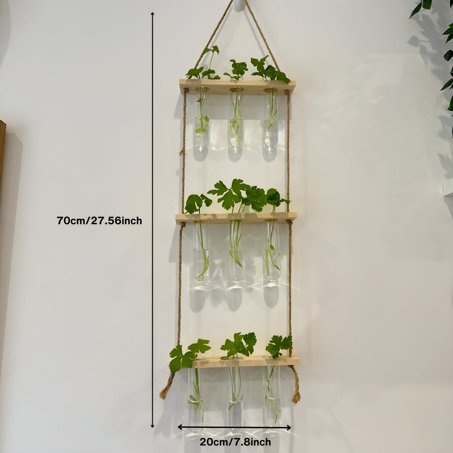 Testtube Vases Hanging Hydroponic System,  Three-Tier Test Tube Propagate Plant Clipping Pothos Wall Propagation System