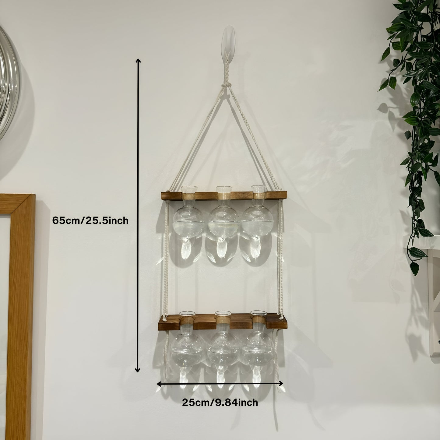 Hanging Hydroponic System, 2-Tier  Bulb Glasses Propagate Wall Hanging Plant Clipping Pothos Propagation System