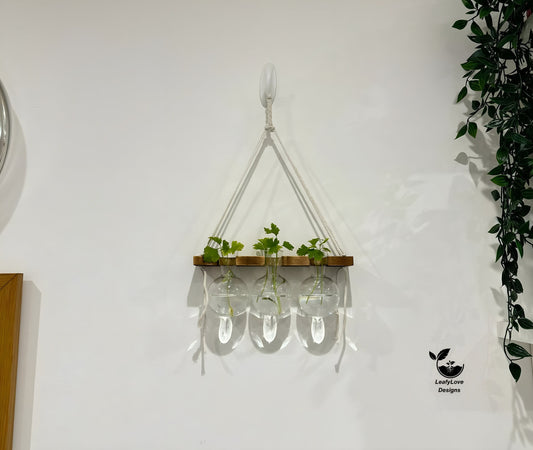 Hanging Hydroponic System, 1-Tier Bulb Glasses Propagate Wall Hanging Plant Clipping Pothos Propagation System