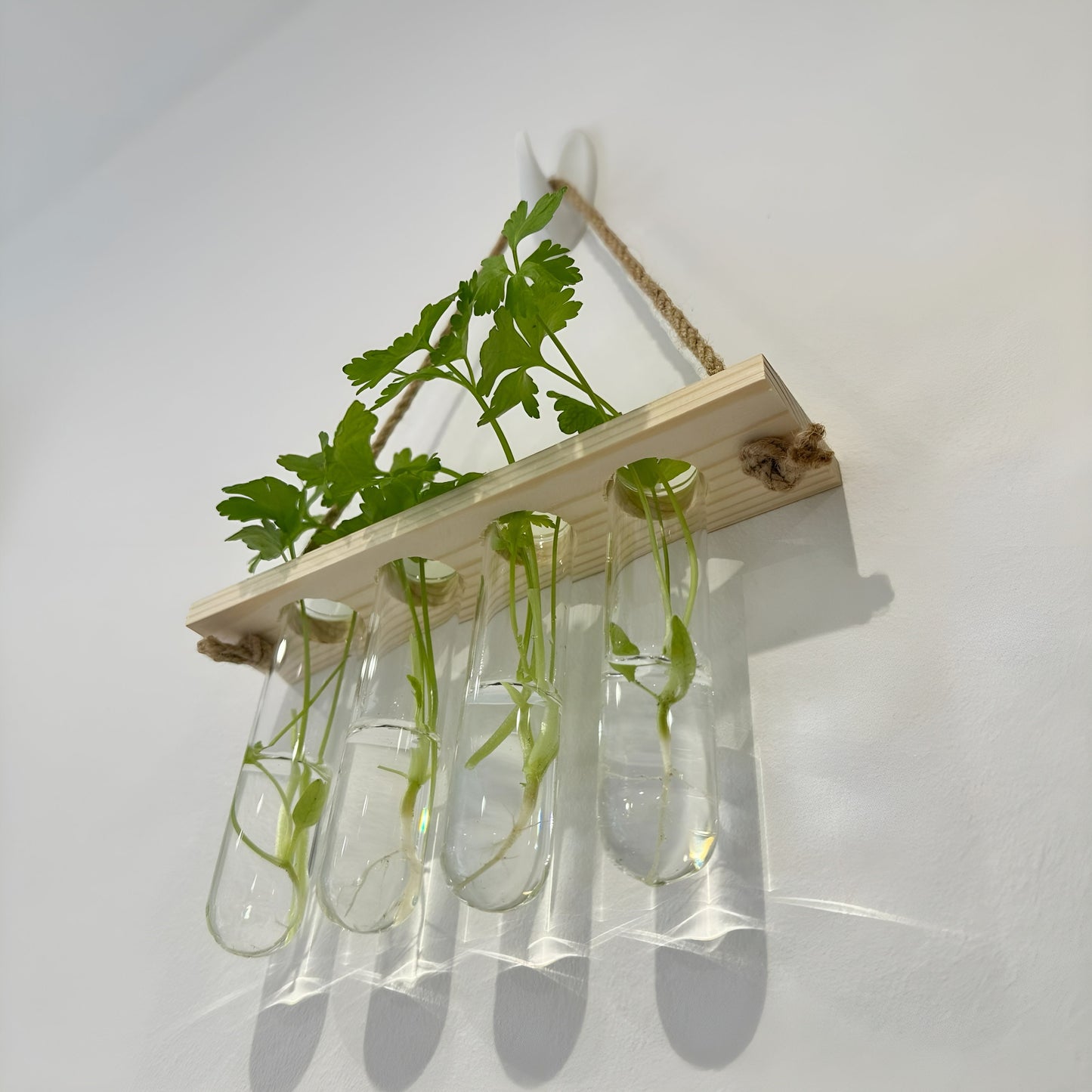 Testtube Vases Hanging Hydroponic System, One-Tier Test Tube Propagate Plant Clipping Pothos Wall Propagation System