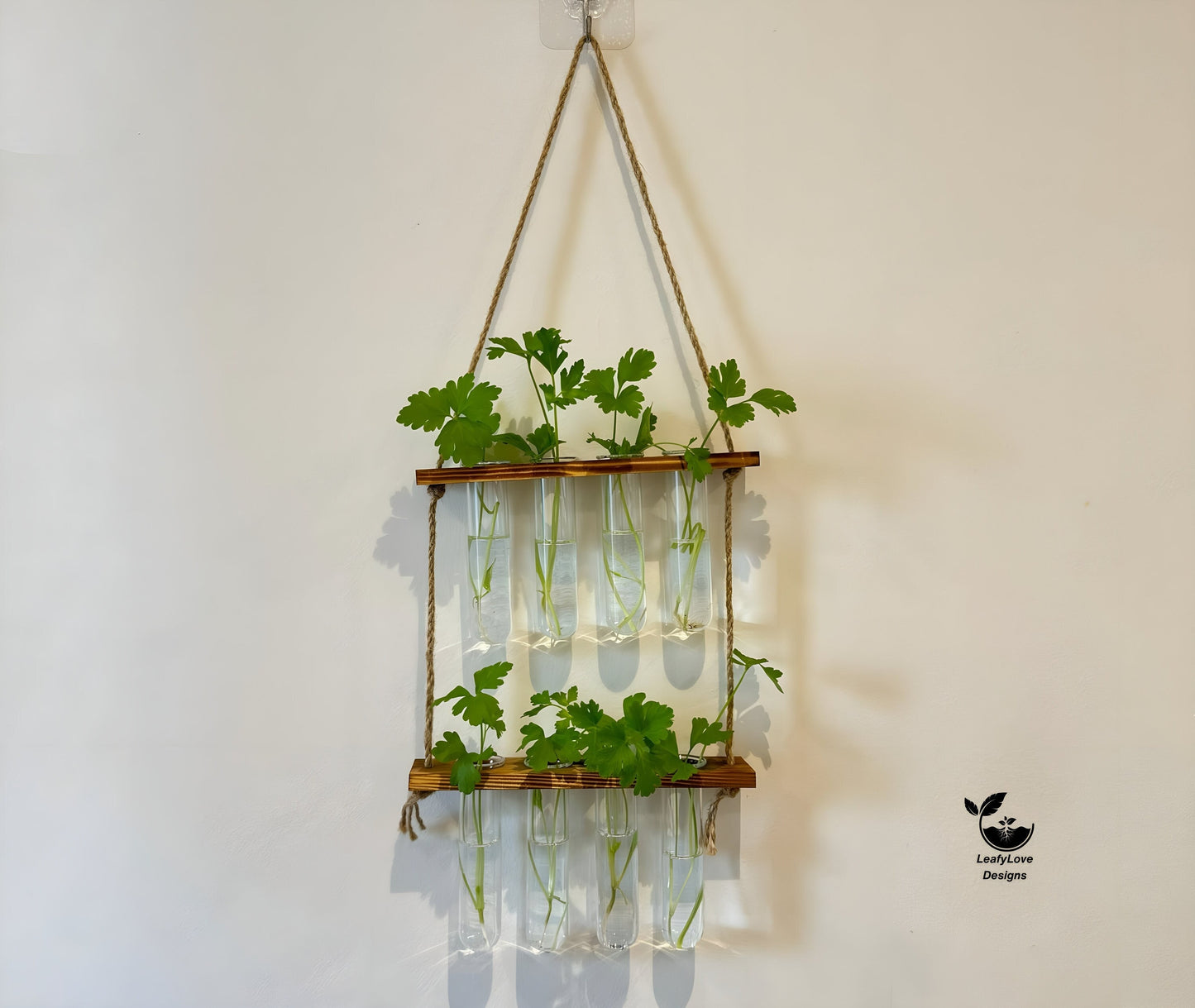 Testtube Vases Hanging Hydroponic System, Test Tube Propagate Plant Clipping Pothos Wall Propagation System