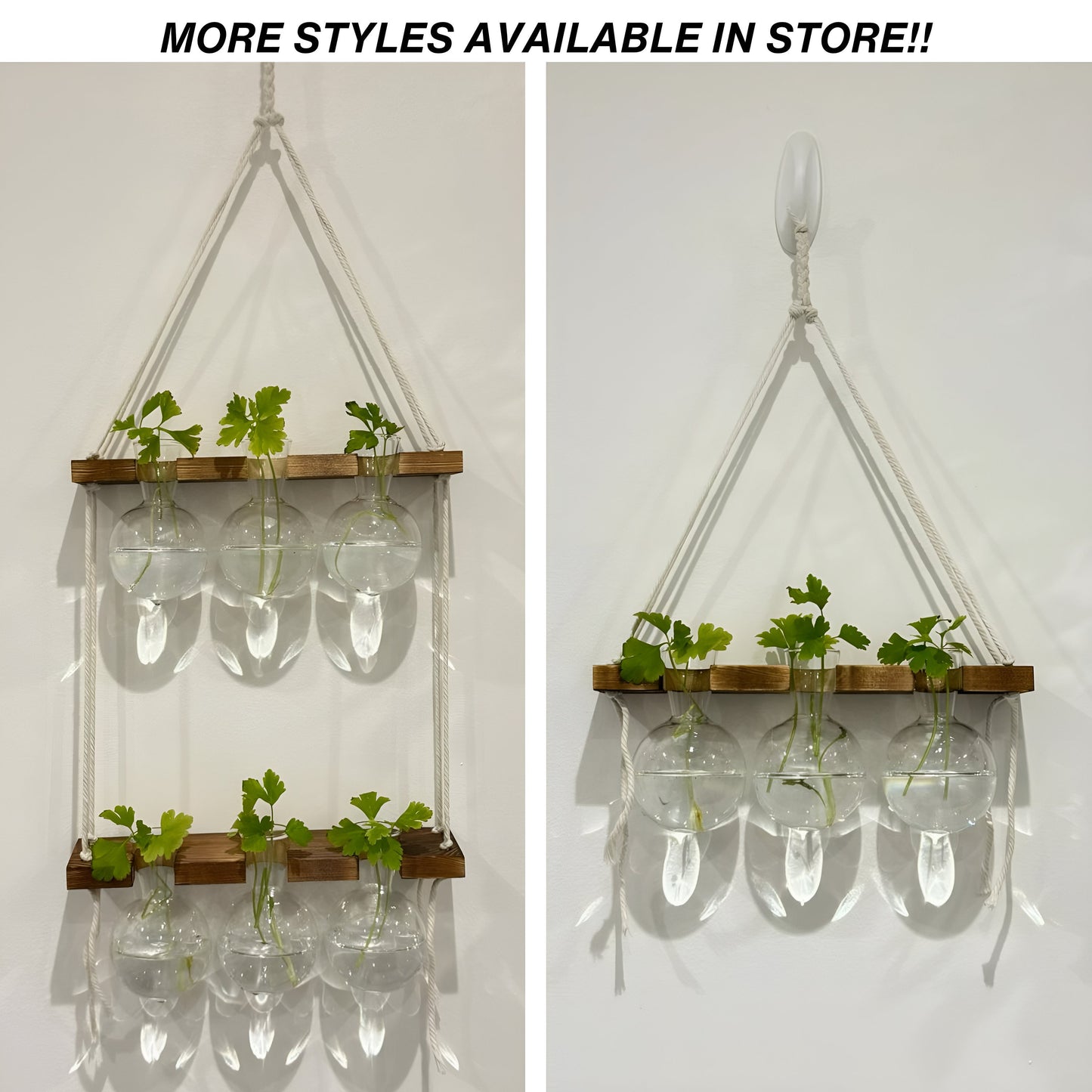 Hanging Hydroponic System, 1-Tier Bulb Glasses Propagate Wall Hanging Plant Clipping Pothos Propagation System